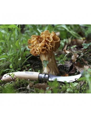 Cuchillo para setas e opinel