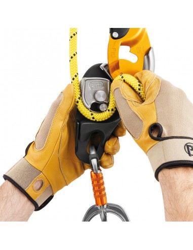 Descensor Rig de Petzl