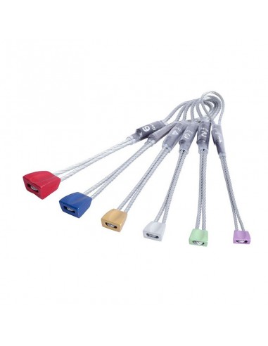 set wallnuts del 1-6 - dmm