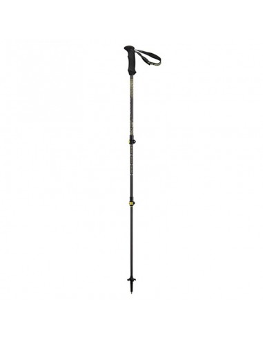 backcountry carbon 2.0 - bastón de trekking fibra de carbono (64-134cm) - cassin