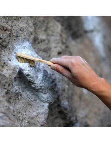 bamboo boar's hair brush - cepillo de bambú para boulder - metolius