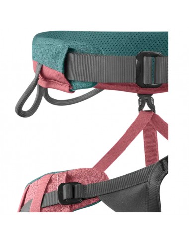 Jayne (Rose) -Edelrid