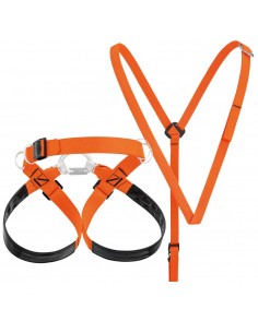 Pack Superavanti + Torse -... 2