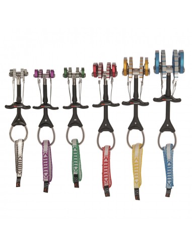 Pack de 6 Friends - Wild Country