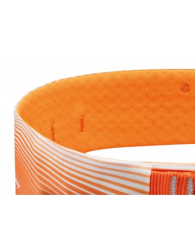 Sitta - Arnés para escalada y alpinismo de alta gama - Petzl