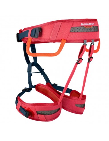 Ophir Kids (Barberry) - Arnés infantil - Mammut