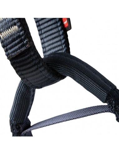 Ophir Kids (Barberry) - Arnés infantil - Mammut