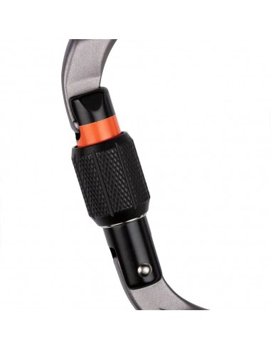 Workhorse HMS Screwgate (Grey-Yellow ) - Mosqueton HMS rosca - Mammut