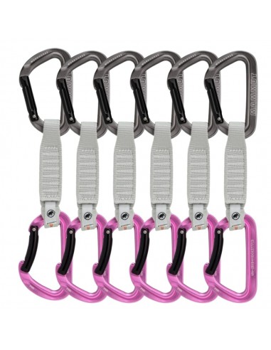 Pack 6 Workhorse Keylock 12 Cm (Silver - Pink) - Cintas express escalada deportiva - Mammut