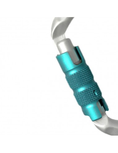 D-Classic 3000 Triple (silver) - Mosquetón D triple cierre - Edelrid