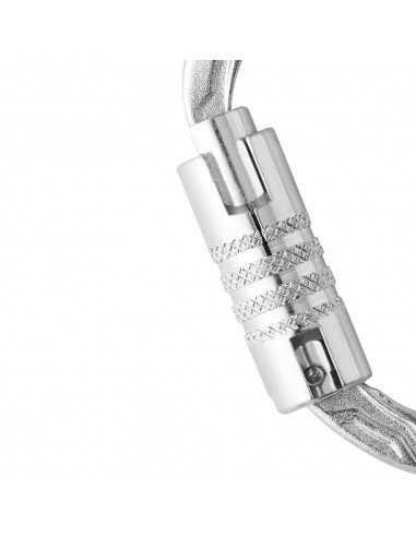 Oval Power Steel Ansi (silver) - Mosquetón ovalado de acero con cierre de triple bloqueo - Edelrid
