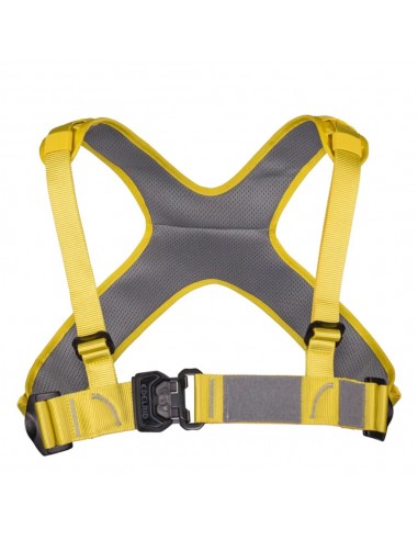 Wing Universal Chest - Arnés de pecho para equipos de rescate de montaña - Edelrid