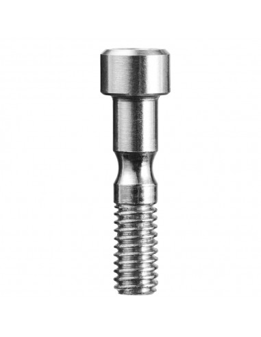 Spare Screw Cupid Swivel - Tornillo de repuesto para el CUPID SWIVEL - Edelrid