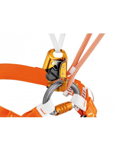 Omni Triactlock de Petzl