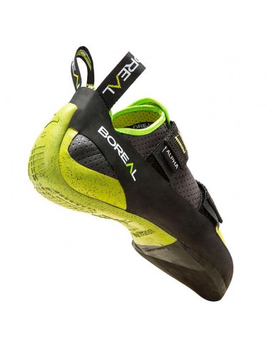 Alpha - Pie de gato para iniciación - Boreal