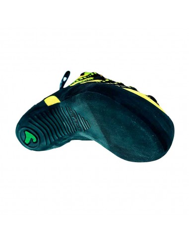 Lynx - Pie de gato técnico con cordones - Boreal