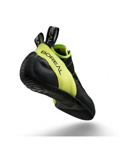 Ace - Pie de gato con cordones - Boreal