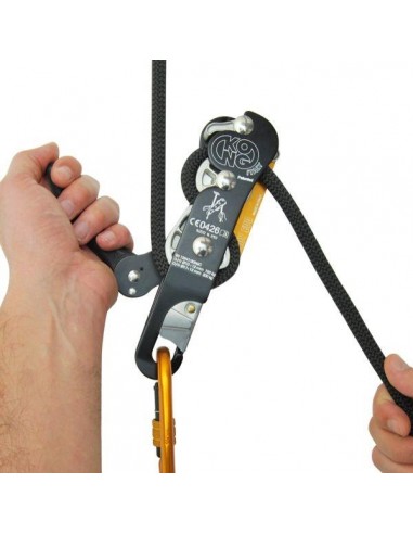 Indy Evo - Descensor - Kong