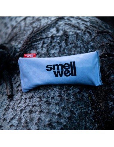 SmellWell Active XL (Silver Grey ) - Bolsas desodorantes grandes para calzado (par) - SmellWell