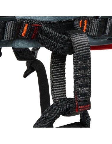 Ophir Kids (Strata/Red) - Arnés infantil - Mammut