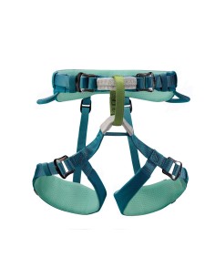 Macchu (Atlantic Blue) - Arnes infantil - Petzl 2