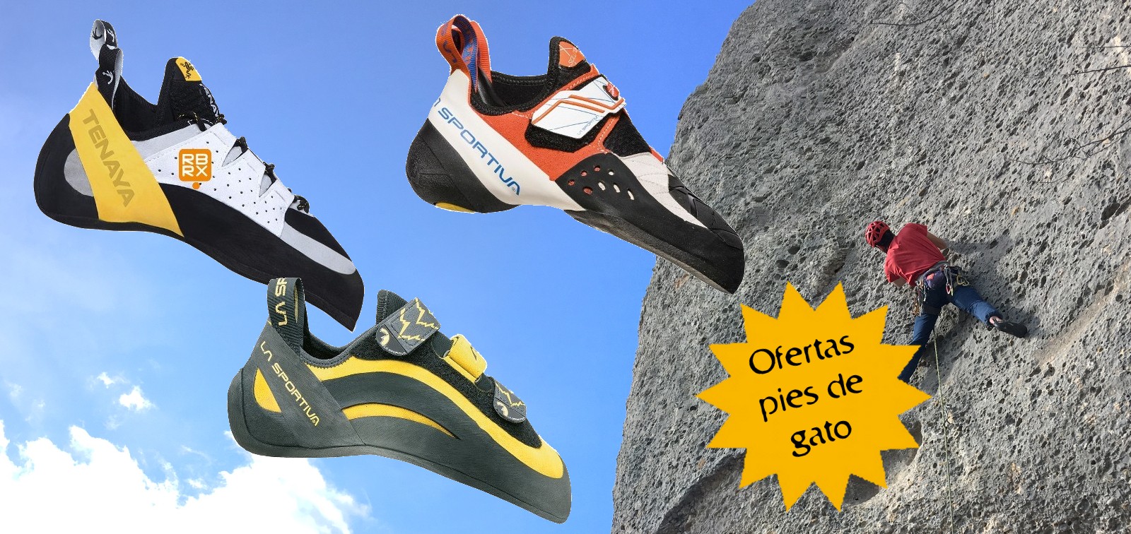 Ofertas pies de gato